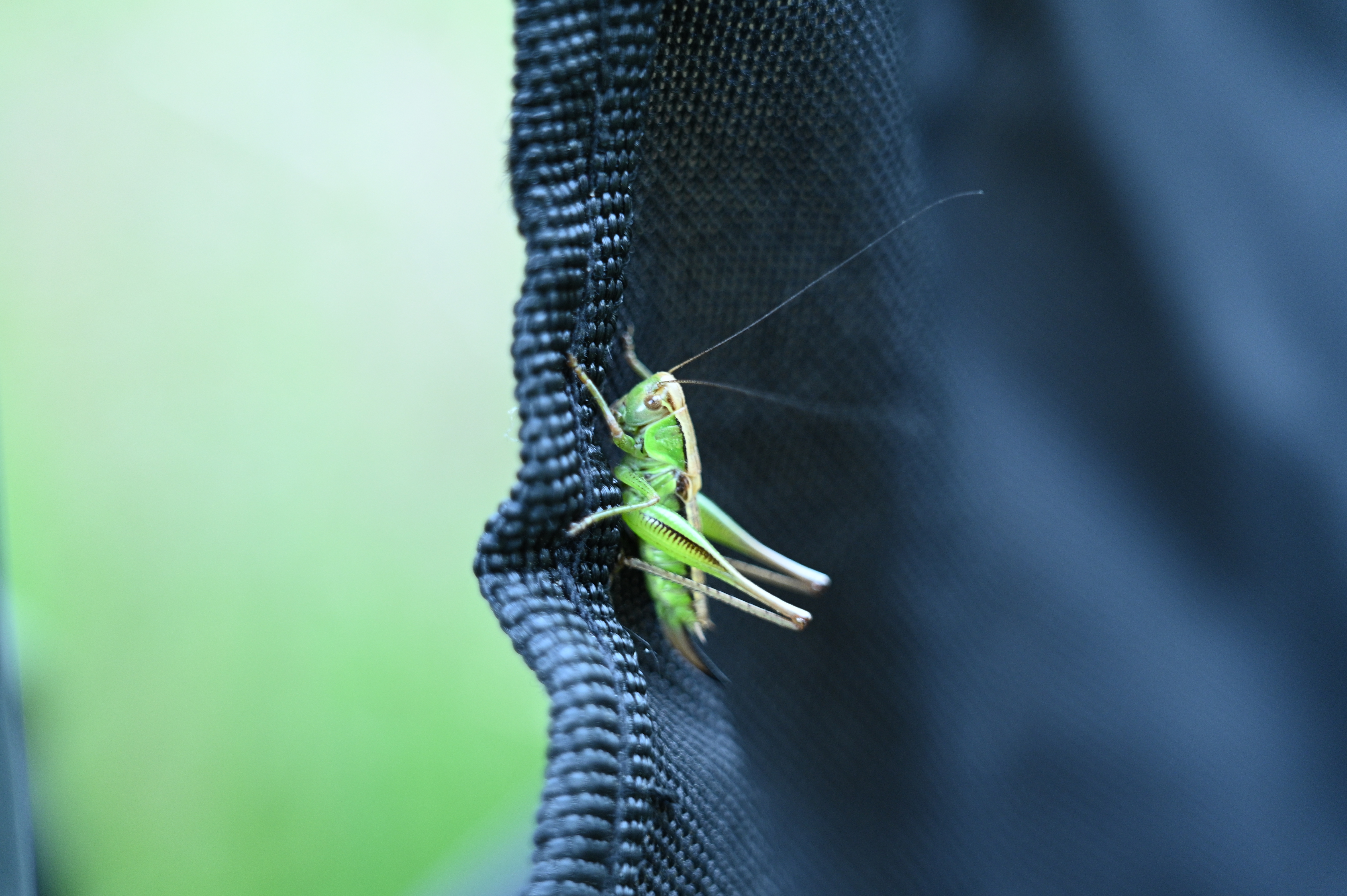 2025/07/09-14 - trip/DSC_0041.JPG